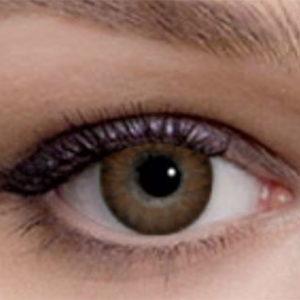 Freshlook Color Blends Brown