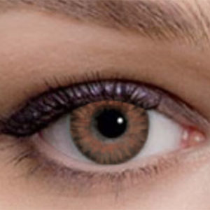 Freshlook Color Blends Honey