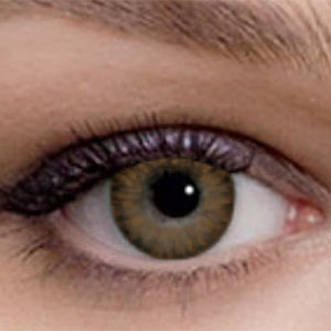 Freshlook Color Blends Pure Hazel